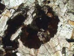Biotite Ilmenite Ilmenite Biotite Biotite Ilmenite Image P3:
