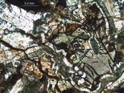Biotite is often present in smaller amounts, and is often found growing in radial fans outward from what appears to be ilmenite, indicating that it is replacing the ilmenite.
