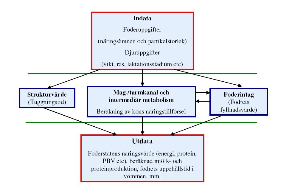 12 NORFOR Norfor är ett nytt fodervärderingssystem och uppföljare till det äldre AAT/PBVsystemet. En av nyheterna med NorFor Plan är att man tar större hänsyn till fodrets partikelstorlek.