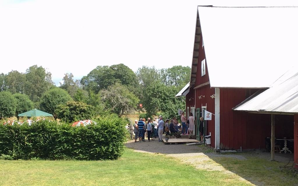 Jag har funderat på varför just Tolg fått en sådan attraktion och gott rykte. Och det är de personer som bor där förstås! Man ser möjligheter, man hjälper varandra och välkomnar nyinflyttade.