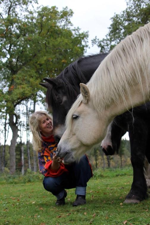 Malyn s Häst- & HundAkupunktur Jag jobbar enligt TCVM, traditionell kinesisk veterinärmedicin, vilket innebär att jag