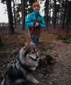 Det är ju inte enbart hunden som ska gå i avel som är viktig, även syskon till blivande avelsdjur är jätteviktiga för att utvärdera kullar och enskilda individer.