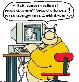 Jag vill pusha lite extra för hälsoenkäten som medföljer det här numret och understryka att varje inrapporterat sjukdomsfall är värdefullt för avelsarbetet med vår ras.