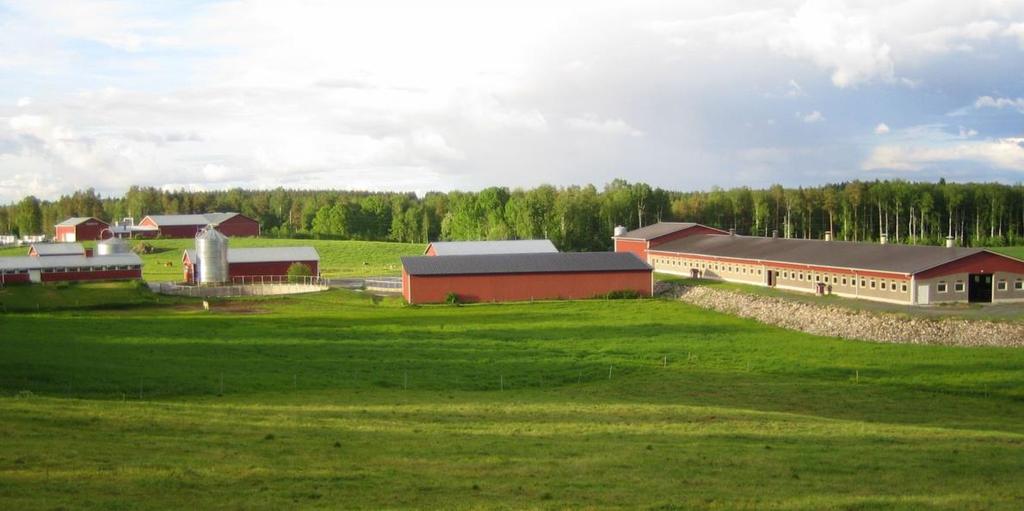 Här ses en del av Bröderna Granbackas anläggningar i Granö by.