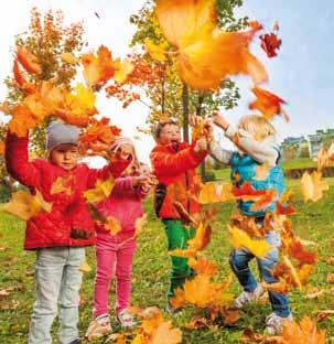 Barnsamling under predikan. Välkommen till sopplunch! Skene församlingshem tisdagarna 24 september, 29 oktober och 26 november kl. 12.00. Gruppen Unga vuxna startar torsdag 12 september kl. 19.