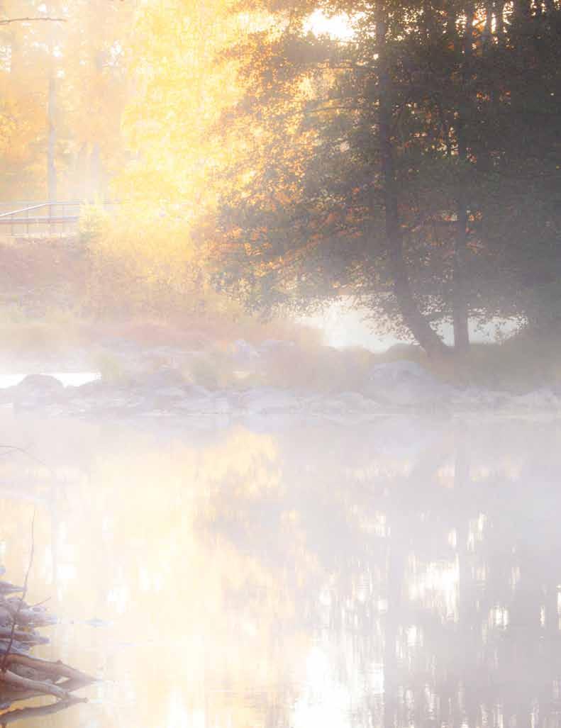 Händer i Skene Ekumenisk församlingskväll Torsdag 3 oktober är det ekumenisk församlingskväll tillsammans med Elimförsamlingen i Skene församlingshem kl. 18.30.