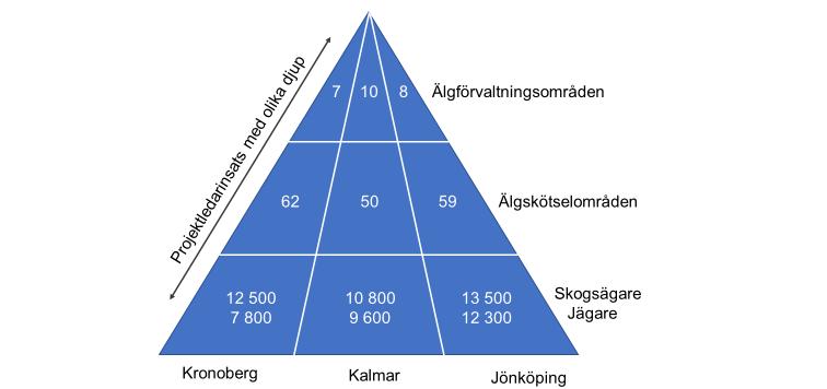 älgförvaltningen visar att flera av målen i älgförvaltningsplanerna och riksdagens övergripande målsättningar inte uppnåtts.