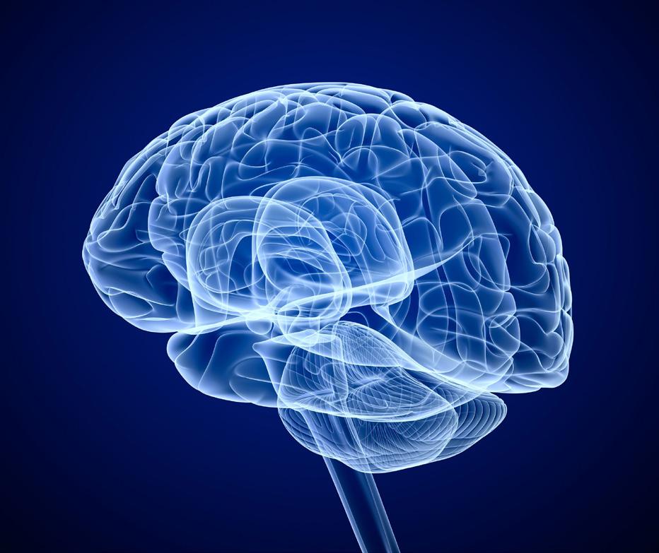 för partnerskap med mindre bioteknikföretag med innovativa projekt. Samarbetsformen kan variera beroende på indikationsområde och initieras i olika stadier av läkemedelsutvecklingen.