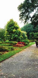 «det är något speciellt med att strosa runt i en botanisk trädgård. Artrikedomen och ordningen gör att växterna verkligen syns och det finns något vackert att fästa ögonen vid, oavsett årstid.