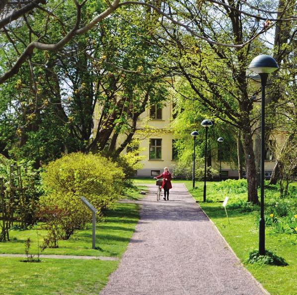 RAKA GÅNGAR OCH SLINGRIGA Trädgårdens yttre delar är en romantisk engelsk park med höga träd och buskar som skyddar den inre delen av trädgården.