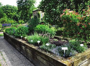 Det tillför, förutom botaniska värden, skönhet och variation till