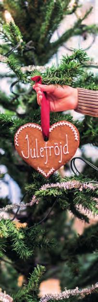 Ett ljus i mörkret Innehåll s. 3 Julen börjar med julgrytan! s. 4 Frälsningsarméns julbudskap når miljontals s. 5 Hur når vi ett bra resultat med julgrytan? s. 6 Våga fråga företag! s. 6 Starta digital julgryta s.