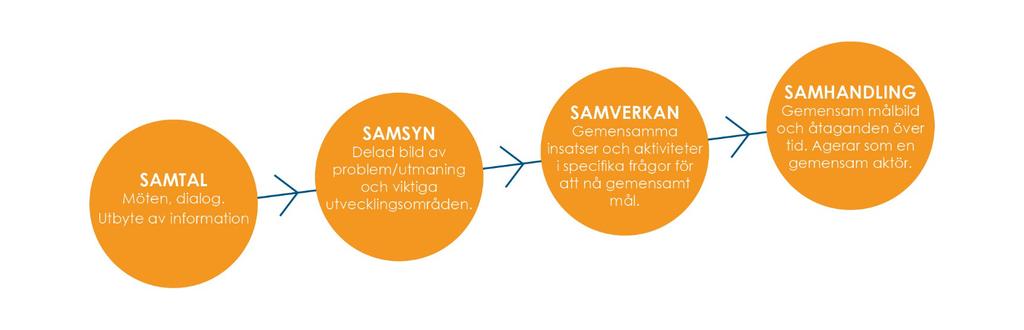 Gemensamma satsningar och framgångsfaktorer För att uppnå våra mål och komma framåt inom fokusområdena behöver alla aktörer som verkar inom länet hjälpas åt.