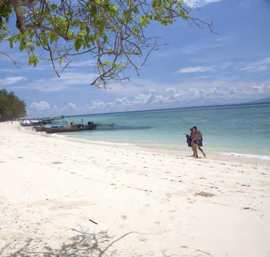 5 x resan hit Charter/paketresa Alla de stora charterbolagen har Thailand på programmet, men Phi Phi-öarna är inte någon klassisk charterdestination, det ligger lite för isolerat.