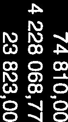 826 146,16 7 603 441,59 8 288 167,33 24.