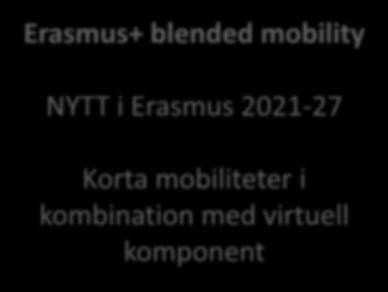 ditt examensarbete med Erasmus+ Skriva uppsats vid ett