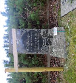 Malmqvist *1875 +1952 Ps 23 D016-017 Äldre vård i svart polerad