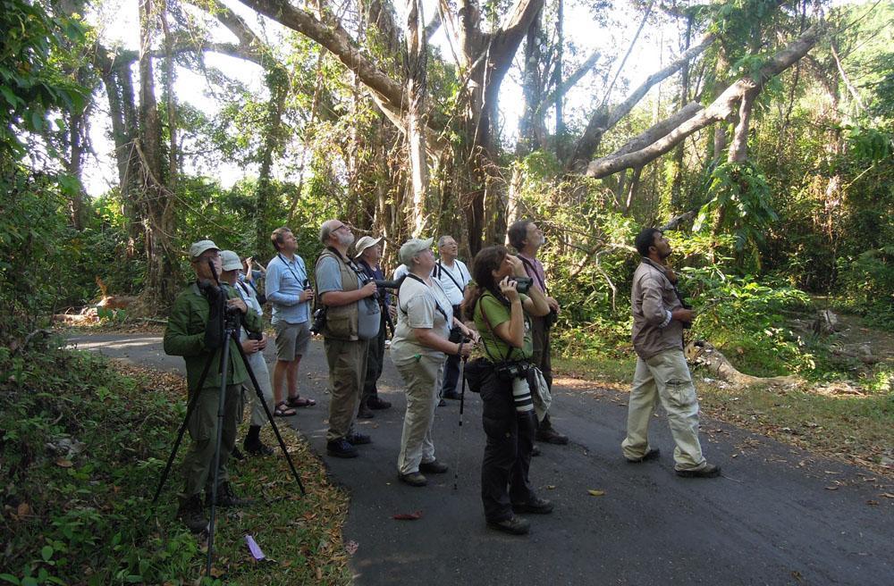 Gruppen väntar ut något på Mt Harriet, Andaman Islands. Foto: Göran Pettersson INLEDNING Sydindien vintertid är en lisa för oss nordbor. Milt klimat med behaglig värme och rätt så torrt i luften.