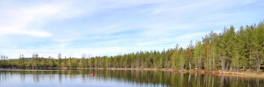 57,3 hektar i Bäckmora, Enånger i Hudiksvall.