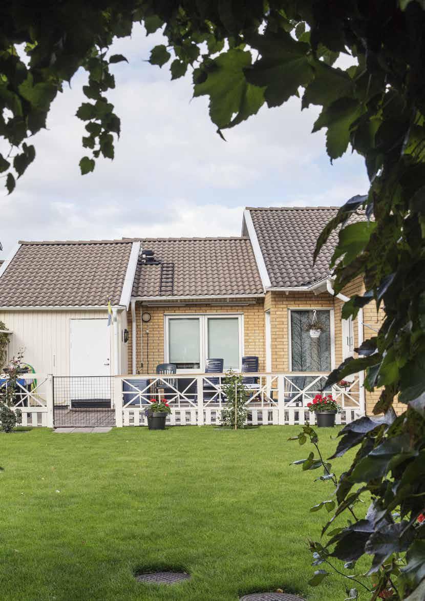 PILEVALLEN Från idrottsplats till lummig småhusidyll Pilevallen är bostadsområdet