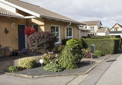 I början av 1970-talet fick anläggningen elljus. Pilevallen sjöd av liv. Idrottsdisciplinerna var många och hit förlades alla Burlövs skolors idrottsdagar.