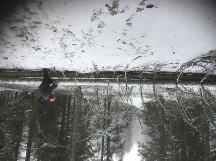 BERTIL KARLSSON Skribenter till Hjoorienteraren Har du en rolig upplevelse från en orienteringstävling eller har du kanske något du vill