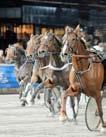 e Pato - : 0-0-0, 00 : 0 0-0-0 Hatshepsut e Muscles Yankee Helen kerlund Ro /-p /0n p, p - Uppf: kerlund Helen, Stora Skedvi Helen kerlund Rä /-k /0 k, gdk - Äg: kerlund Helen & Svensson Jonas Svart,