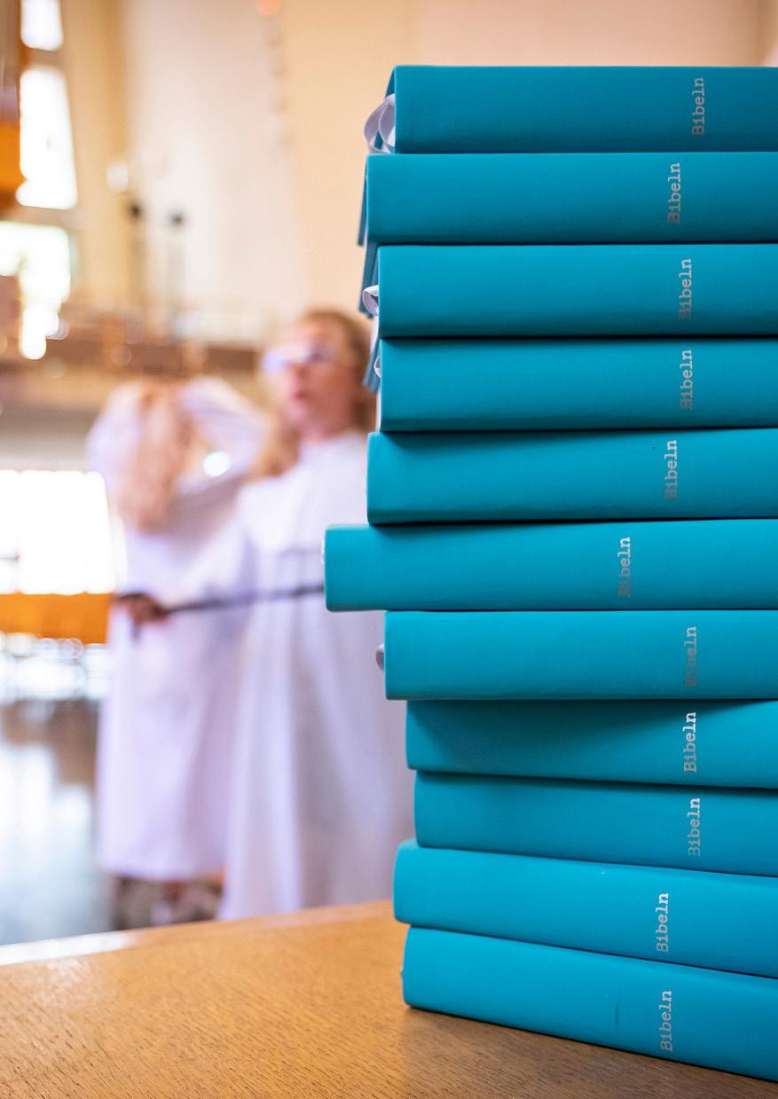 TUPPLUREN Årgång 21 Nr 3 2019