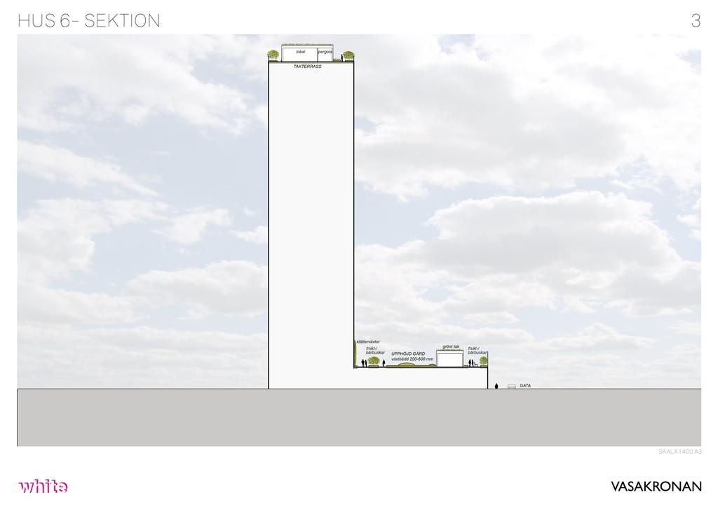H U S 6 - S E K TI O N 3 lokal pergola TAKTERRASS klätterväxter frukt-/