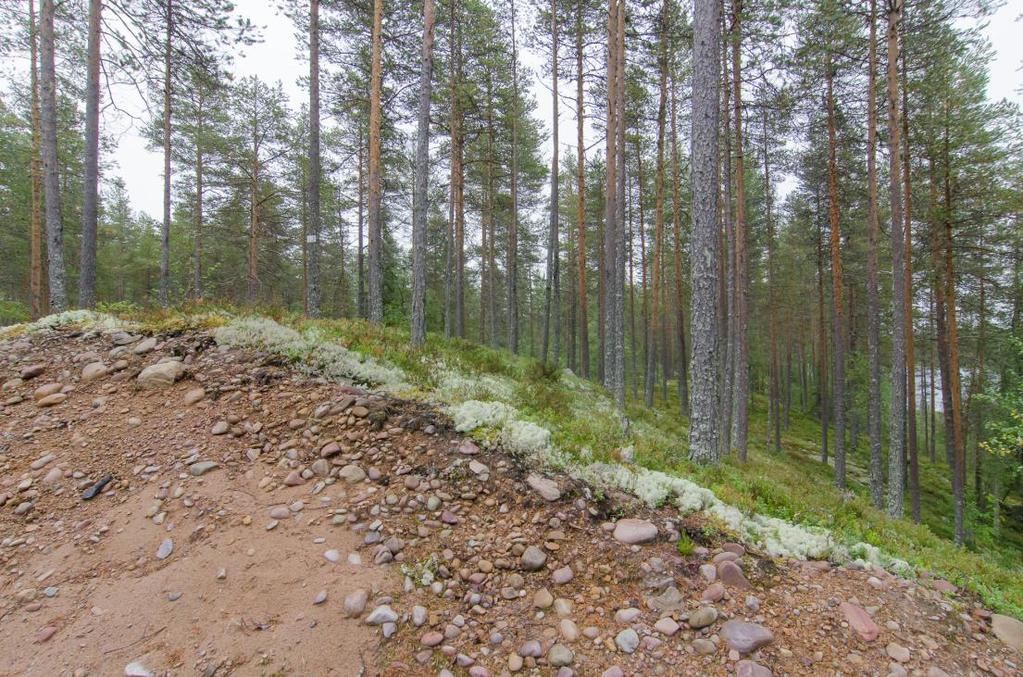 Geologiska förutsättningar: Varierande magasinerande förmåga Berggrund med tunna