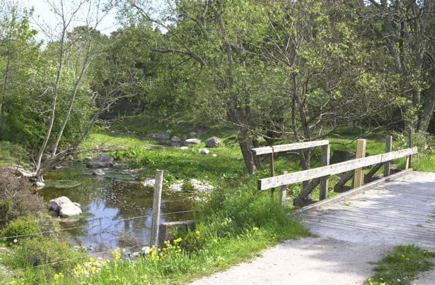 Närkån. GO43. 2004-05-25. 6351700/1669450. 20-70 meter uppströms bro. Vänster sida. Fria ytor. Även undersökt 1991-05-14. Lokalbeskrivning Vid besökstillfället rådde normalvattenstånd.