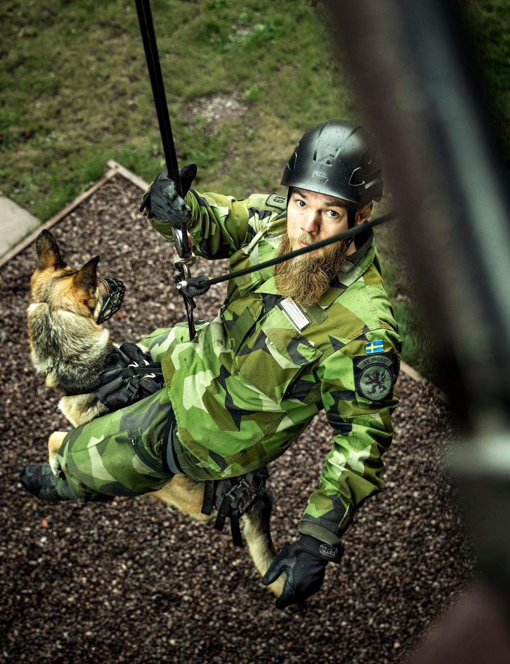 prio Försvarsmakten ska införa nya it-system vid sidan av Prio. grader Kompetensdjup markeras med nya tjänstegrader.