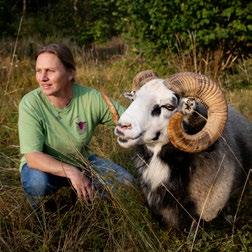 Traditionen med gutebaggar som regementsmaskotar har funnits sedan 1979 och när Gotlands regemente återuppstod återinfördes även den traditionen och en ny Harald, den femte i ordningen, valdes ut.