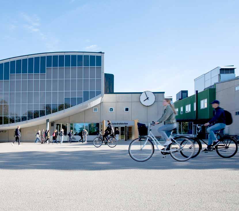 VIKTIGT ATT VETA 2019