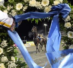 Solvalla 8 fredag Bollnäs, Åby, Örebro 9 lördag 10 söndag 11 måndag Axevalla, Boden, Kalmar, Romme, Å, Ös 12 tisdag Eskilstuna, Färjestad, Umåker 13 onsdag Jägersro, Mantorp, Solvalla 14 torsdag