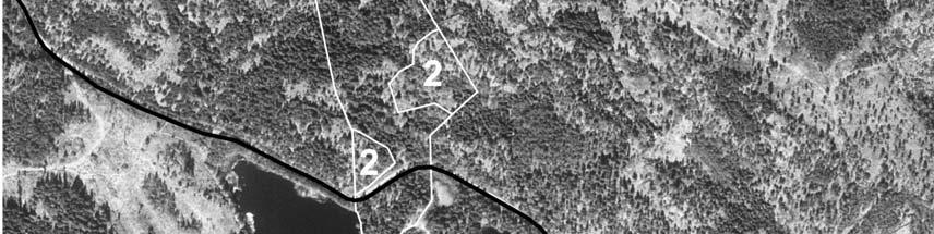 I skötselområde 2 (N2000 naturtyp Ädellövskog, 9020)