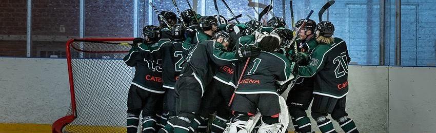 Föreningspresenta7on 1. Inledning 2. Om Trelleborgs Ishockeyförening 3. Röda tråden 4.