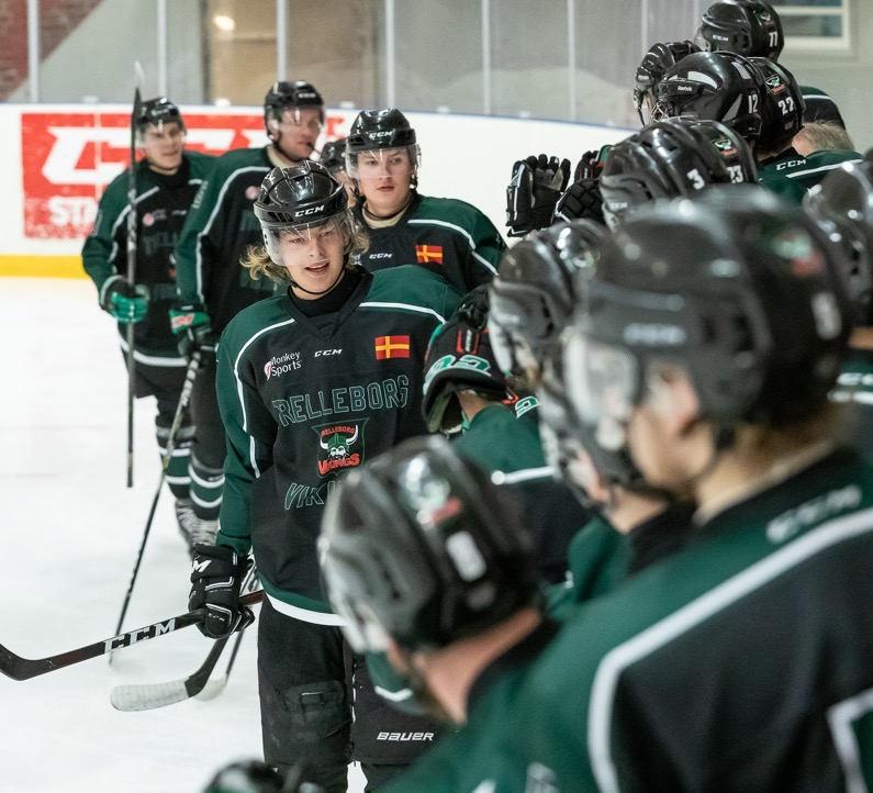 VIKINGAKORTET -Trelleborgs Ishockeyförenings klubbemblem som infördes för mer än 15 år sedan för hylla stadens historia och relaion