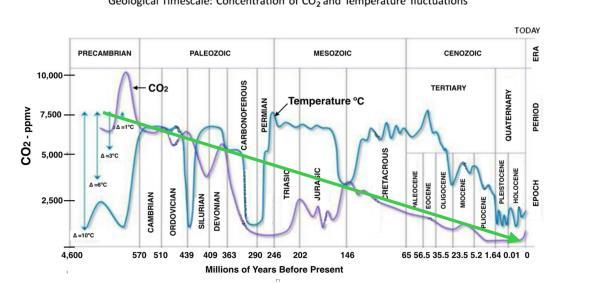 CO2 utvecklingen under jordens historia. Variationerna har varit mycket stora. Läs denna rapport https://fcpp.