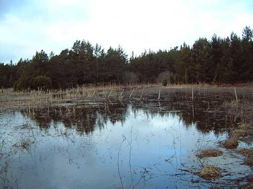 Hultungsån Hultungsån tillhör ett av de viktigaste vattendragen på Gotlands norra del. I genomsnitt leker här ett hundratal öringar mellan 0,5 och 5 kg varje höst.