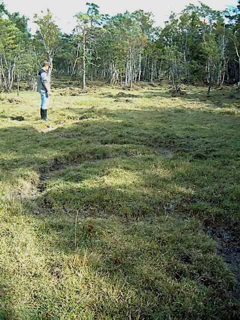 Den senaste under 2004 har enligt mätningar inte påverkat vattenregimen på myren. Någon mätning vid den första provborrningen gjordes inte. Myren Bluttmo Gildarshagen är sedan 2003 naturreservat.