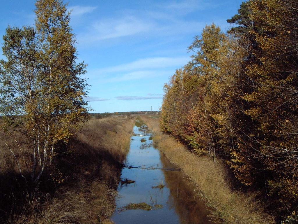 Ireån