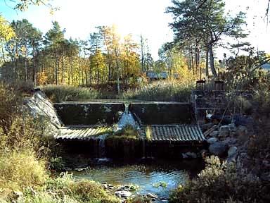 Strömhastigheten i de nedre delarna av Ireån varierar mycket men huvuddelen upp till kraftverket och kraftverksdammen utgörs av strömmande partier.