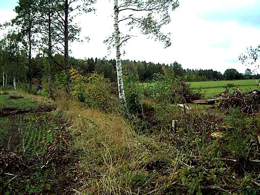 Ovanför Lunds gård och upp till Tingstäde samhälle har vattendraget ett mycket heterogent utseende där både partier av mer eller mindre opåverkad karaktär och kraftigt exploaterade