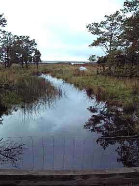 Svajdeån (Fitån Visneån) Svajdeån som mynnar på östra Gotland söder om Ljugarn är relativt flack den första kilometern vilket också gör att den nedre delen är kraftigt brackvattenpåverkad.