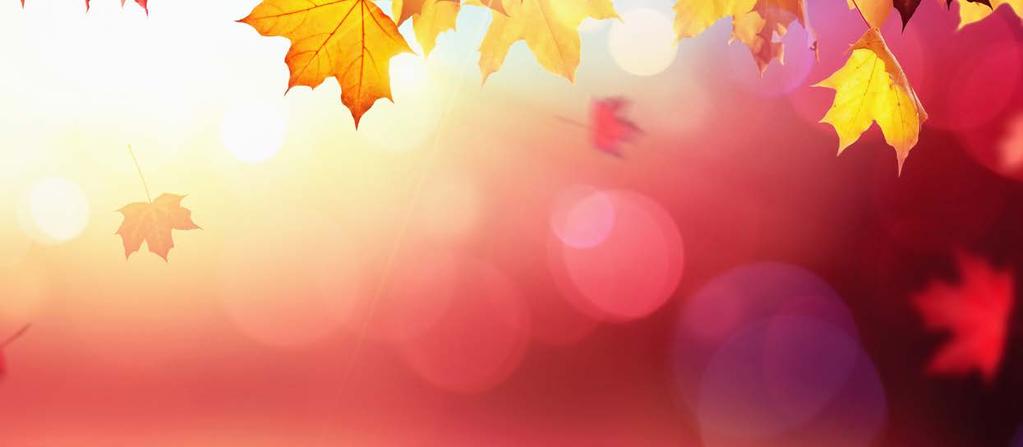 VARMT VÄLKOMMEN TILL ETT SPÄNNANDE 26 OKTOBER 3 NOVEMBER 2019 MALMÖ CIVILA RYTTARFÖRENING KL 13 16:30 Du som är mellan 13 18 år kan följa med Ungas fritid till Jägersrovägen och prova på ridning och