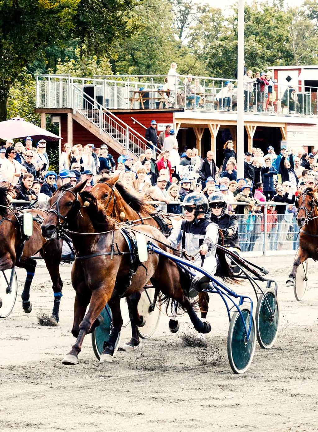 NR. 01 TIRSDAG 1. SEPTEMBER PROGRAMAVIS FOR DANTOTO MIDTUGENS UDBUD TIRSDAG 1. SEPTEMBER Banenr. Kl.