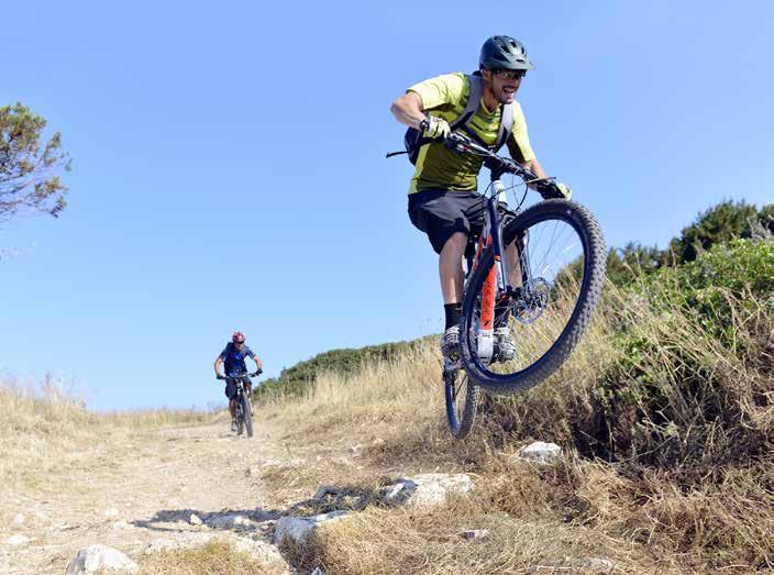 INDEX E-CITY 3 MTB HILLMASTER 27,5 & 29 KRITTON 27,5 & 29 PRO RIDER 27,5 & 29 9 TREKKING EZIGO 24 10 SPORT 20 E-MTB TRAXER E-11 TRAXER E-10 HILLMASTER E-9 ORAMA D8 Hjulstorlek: 28 Växlar: 8/Automat