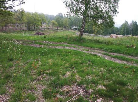 Odlingsspår i Munkedal 11 Figur 5 Stensträng A229 från sydväst. Stensträngen löper från strandbrinken i sydväst och in i förundersökningsområde, 2 där den förstärker terrasseringen.