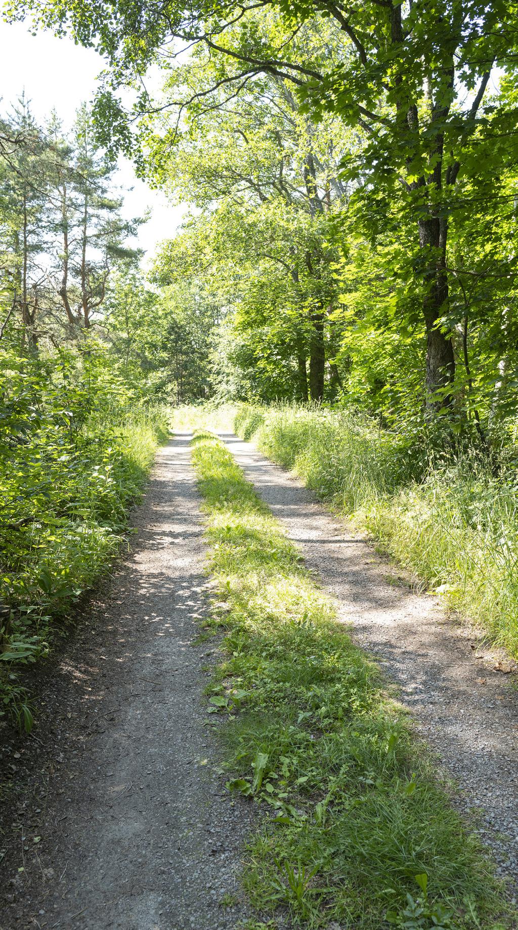 TREDJE KVARTALET 19 Vid utgången av tredje kvartalet visade de flesta av världens börser på uppgångar som i flera fall uppgick till positiva tvåsiffriga procenttal.
